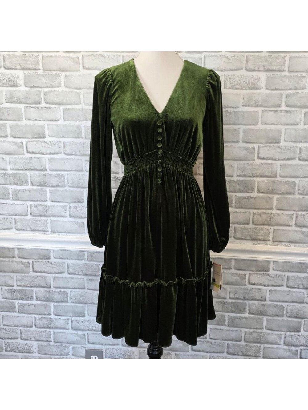 NWT Taylor Green Long Sleeve Luxury Velvet Ruffled Midi Whimsigoth Fairycore - Picture 1 of 11